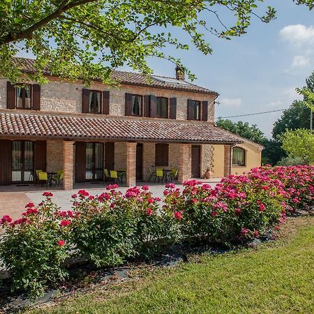 Agriturismo La Vecchia Fonte Castelbellino Exterior photo